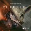 CORDEROS portada