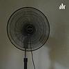 Borno Podcast cover