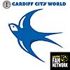 Cardiff City World