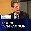 Littérature française moderne et contemporaine : Histoire, critique, théorie - Antoine Compagnon