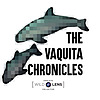 The Vaquita Chronicles