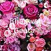 Bhagwat Geeta