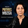 Potres mozga naslovna