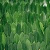 Podcast De Português 3