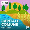 Capitale comune