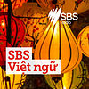 SBS Vietnamese - SBS Việt ngữ