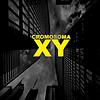 Cromosoma XY