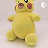 Pokémon brothers borító