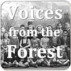 Voices from the Forest cover