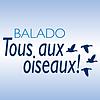 Tous aux oiseaux! couverture