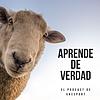 Apoyamos Startups y a Emprendedores portada