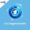 Quarks – Mal angenommen naslovnica