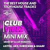 Club Vibez Mini Mix - The Best House & Tech House Mix 🏡🔊