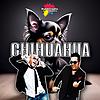 Chihuahua Show commedia Italiana umorismo Comedy live