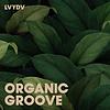 Organic Groove