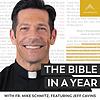 The Bible in a Year In God 🙏🏻 cover
