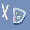 XDXD カバー