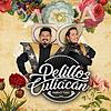 Con Pelillos en la lengua - Pelillos de Culiacan