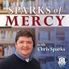 Sparks of Mercy cover
