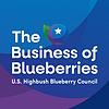 The Business of Blueberries portada