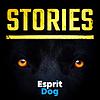 Stories - Esprit Dog