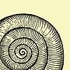 Caracol Ateliê