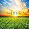 心靈的春天 封面