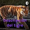 Descripción del tigre
