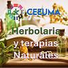 "Herbolaria y terapias naturales"