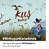 Kuş Bakışı portada