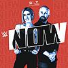WWE Now portada