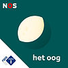 Met het Oog op Morgen