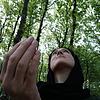 نور را دنبال کرد...