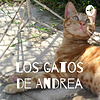 Los gatos de Andrea
