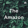 The Amazon cover