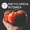 Encyclopedia Botanica portada