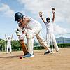 Live Cricket TV