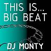 This is.... Best of Big Beat DJ Mixes