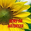SONS DA NATUREZA capa
