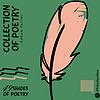 Poet And Poetries