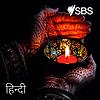 SBS Hindi - SBS हिन्दी