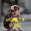 monkey voice