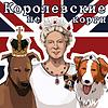 Королевские НеКорги