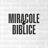 Miracole Biblice