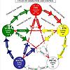 Learn Traditional Chinese Medicine, Functional Medicine and any kinds of Alternative Medicine 封面