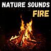 Nature Sounds - Fire and Rain