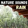 Nature Sounds - Rain