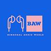 Binaural Audio World portada
