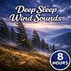 Deep Sleep Wind Sounds