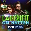 Labyrint om natten omslag